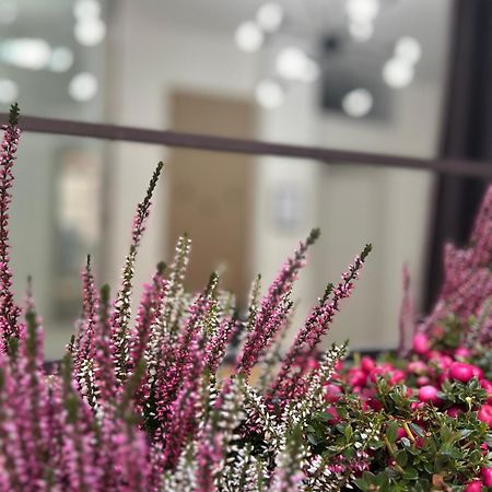 Tezone Seven Apartments ヴェローナ エクステリア 写真